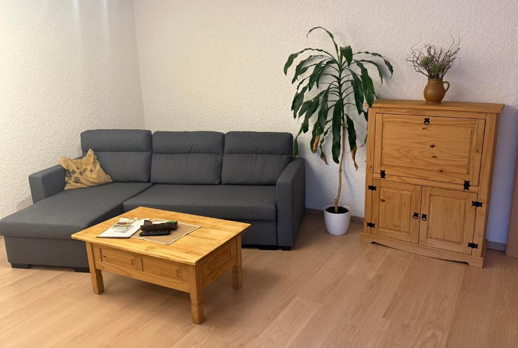 a living room with a couch and a coffee table at Ferienwohnungen Medikus in Luftkurort Lückendorf