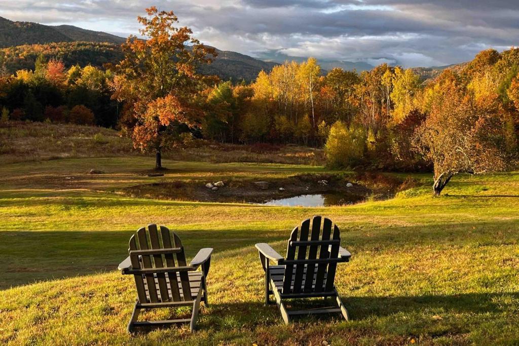 two chairs sitting in a field with a pond at Robbins' Mountain Retreat in West Thornton