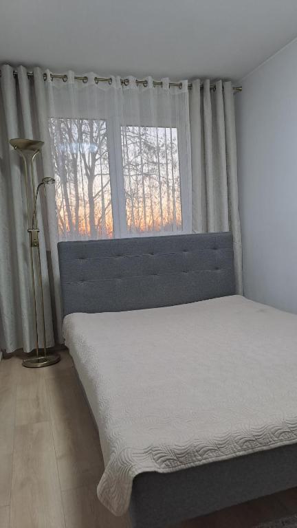 En eller flere senge i et værelse på Irenos Nuoma