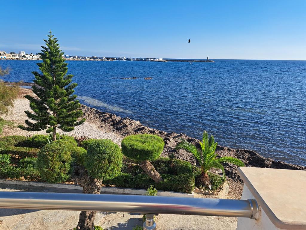 a view of the water from a balcony with a pine tree at Appart Kelibia Sea View in Kelibia