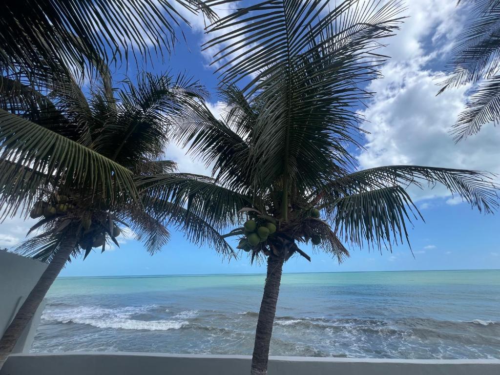 zwei Palmen am Strand mit dem Meer in der Unterkunft Casa La France in Caucaia