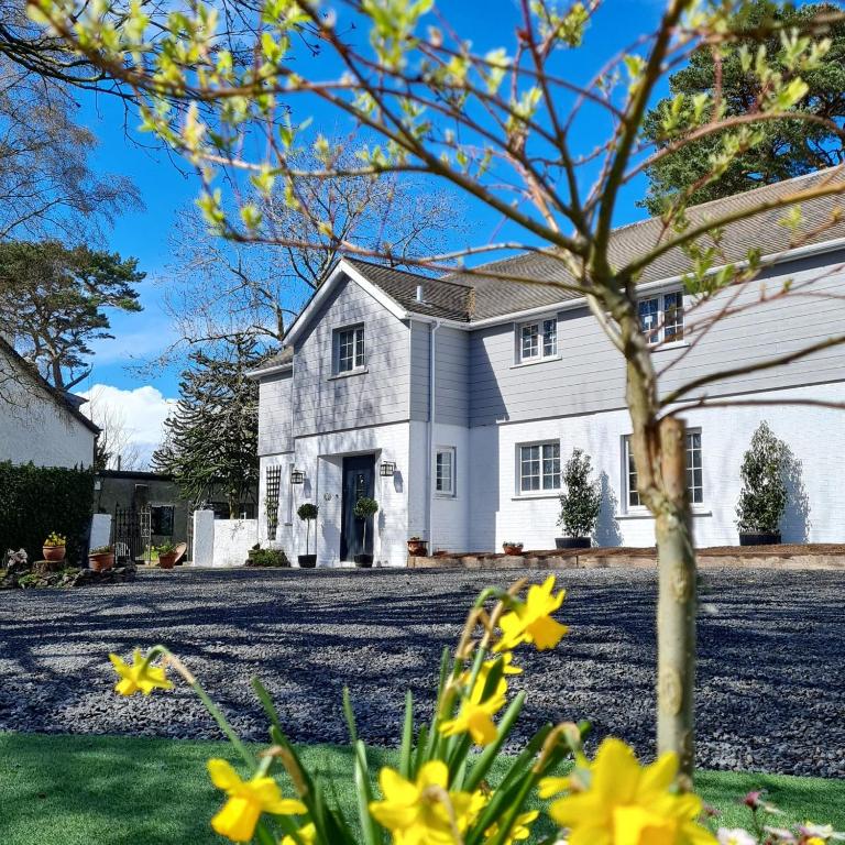 a white house with yellow flowers in the yard at Brackengarth House in Purdysburn