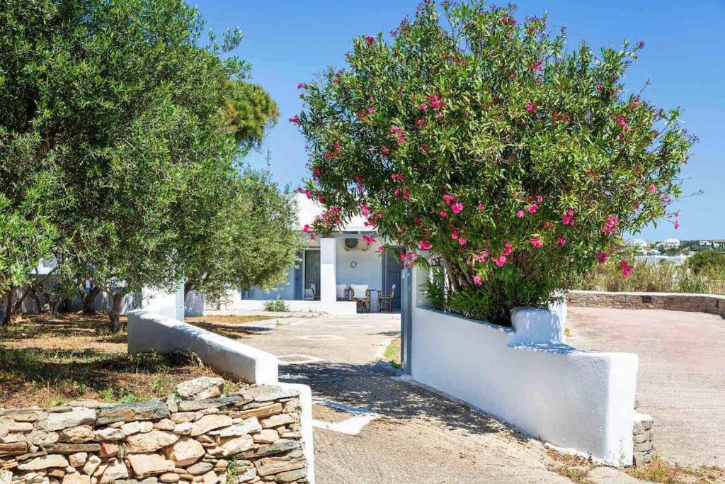 Zahrada ubytování Traditional Island Escape by ΜΡS