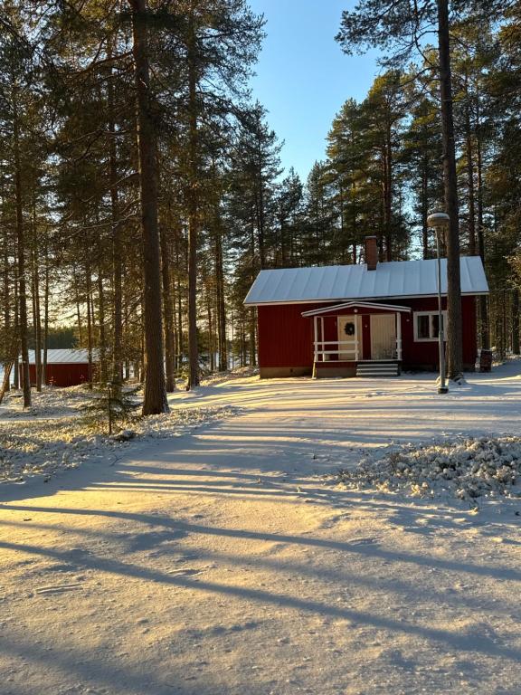 eine rote Hütte mitten im Wald in der Unterkunft Cleanest air Kuorikki-Wilderness in Suulari