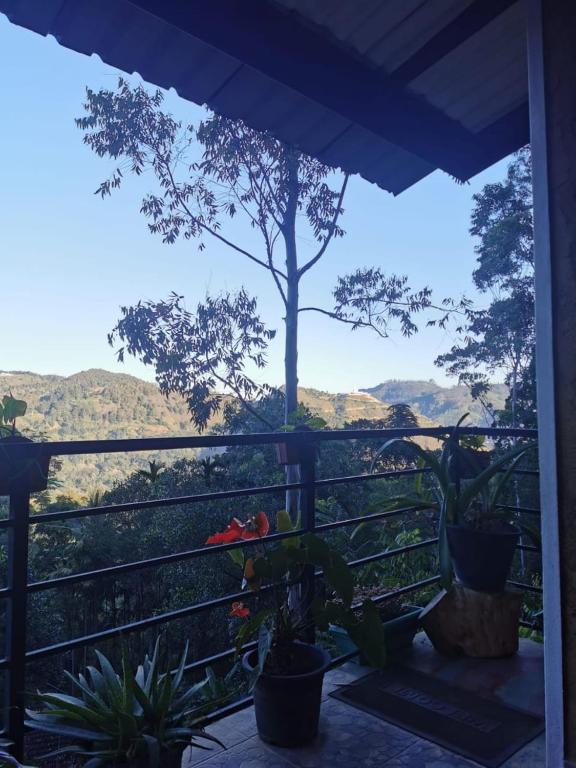 NETHSARA cottage - 17