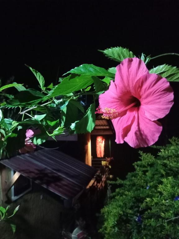 NETHSARA cottage - 18