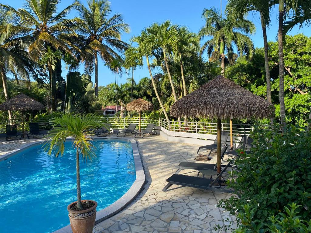 a resort pool with chairs and umbrellas and palm trees at Habitation Grande Anse Résidence hôtelière in Deshaies