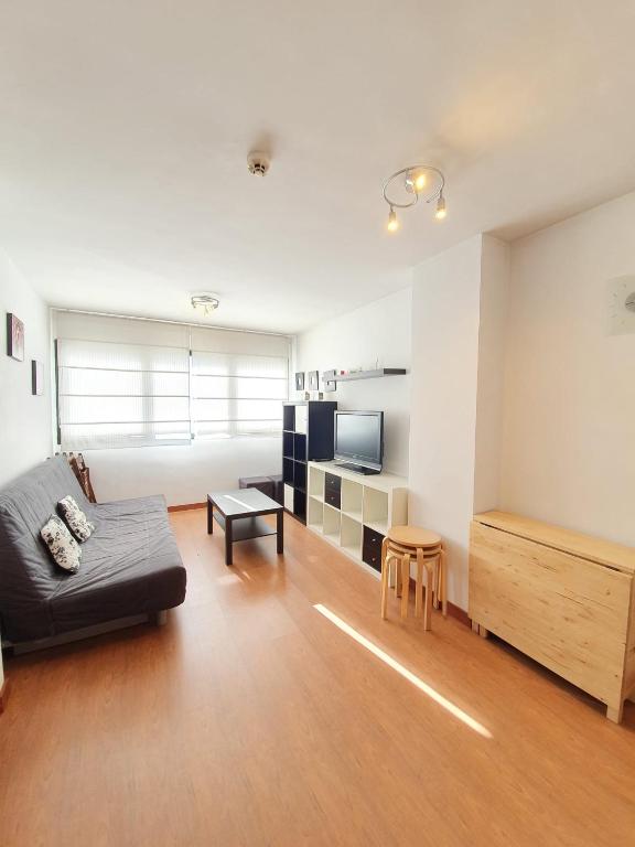 una sala de estar con un sofá y un televisor en Monte Oiz junto a telesilla ERB Alojamientos, en Sierra Nevada