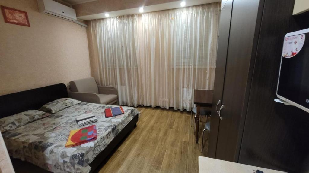 Apartment in the city centr Bursatsky descent في خاركوف: غرفة فندق مع سرير وتلفزيون