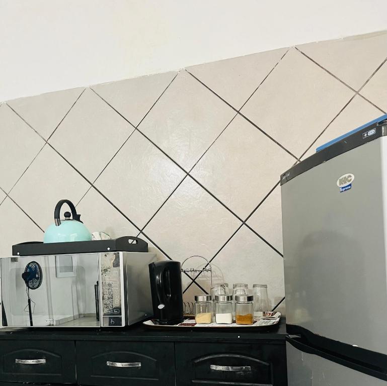 a kitchen with a refrigerator and a counter top at Hlatsi Bushview Apartments & Safaris in Hazyview