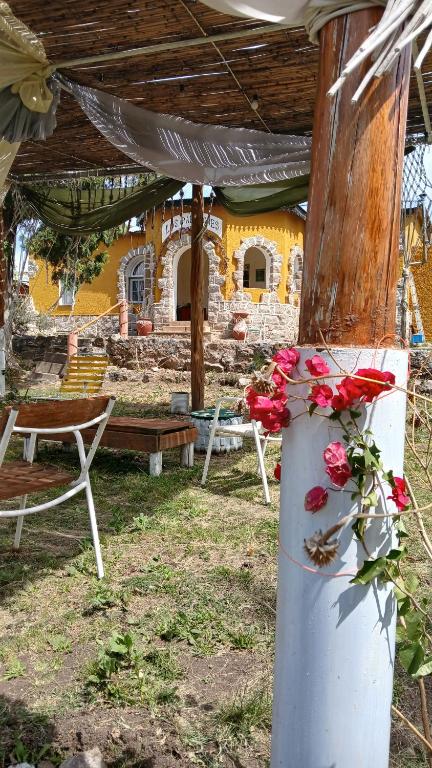 Zahrada ubytování Hospedaje La Casona de los Paredones