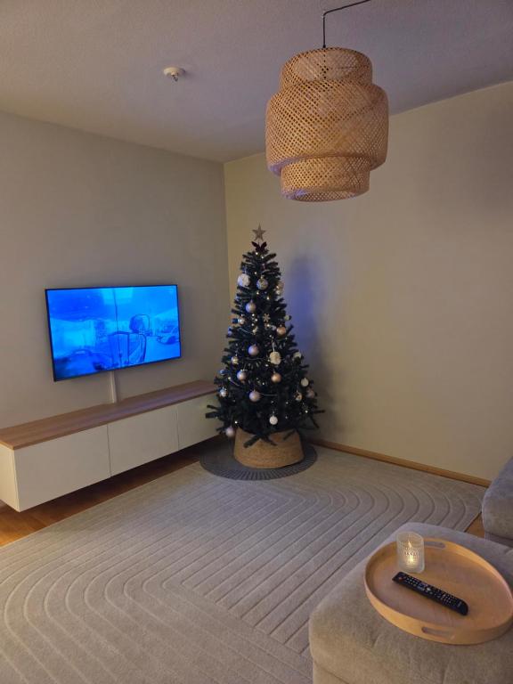 Μια τηλεόραση ή/και κέντρο ψυχαγωγίας στο The Arctic Nordic Retreat