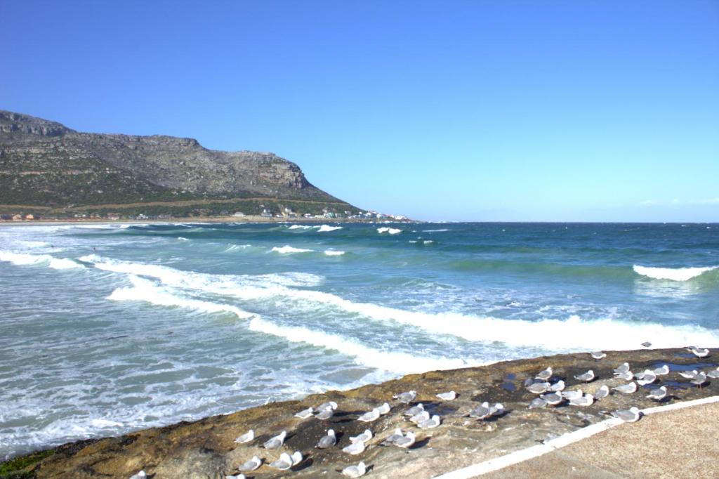 a beach with a bunch of rocks and the ocean at South Peninsula Coastal Apartment in Cape Town