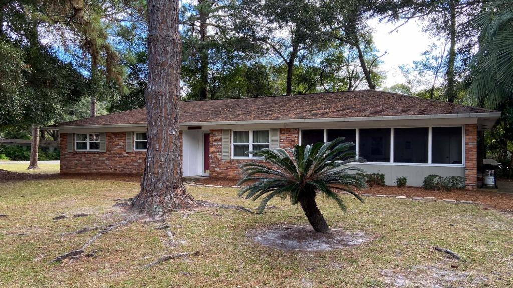 a small house with a palm tree in front of it at Island Pines in Jekyll Island