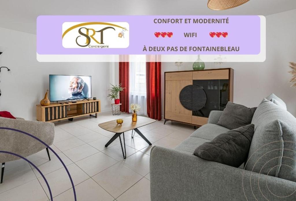 a living room with a couch and a tv at La Rochoise - Parking, Wifi, proche Fontainebleau in La Grande-Paroisse