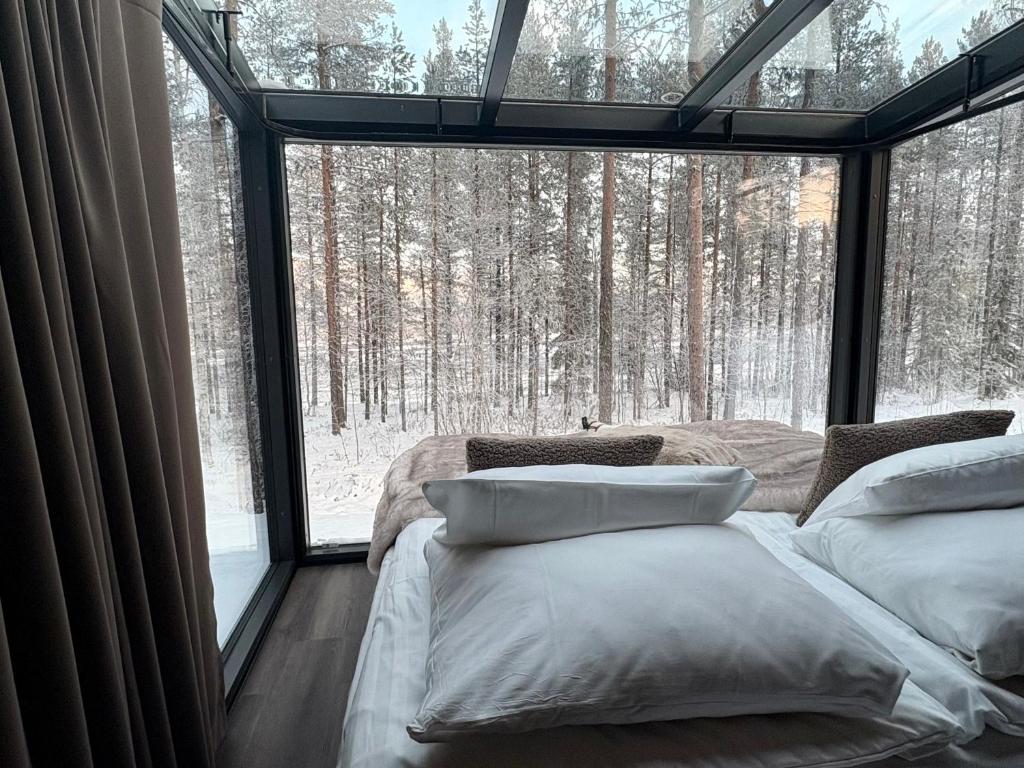 Balder Luxury Lodge & Glass Igloos - Glass Igloo