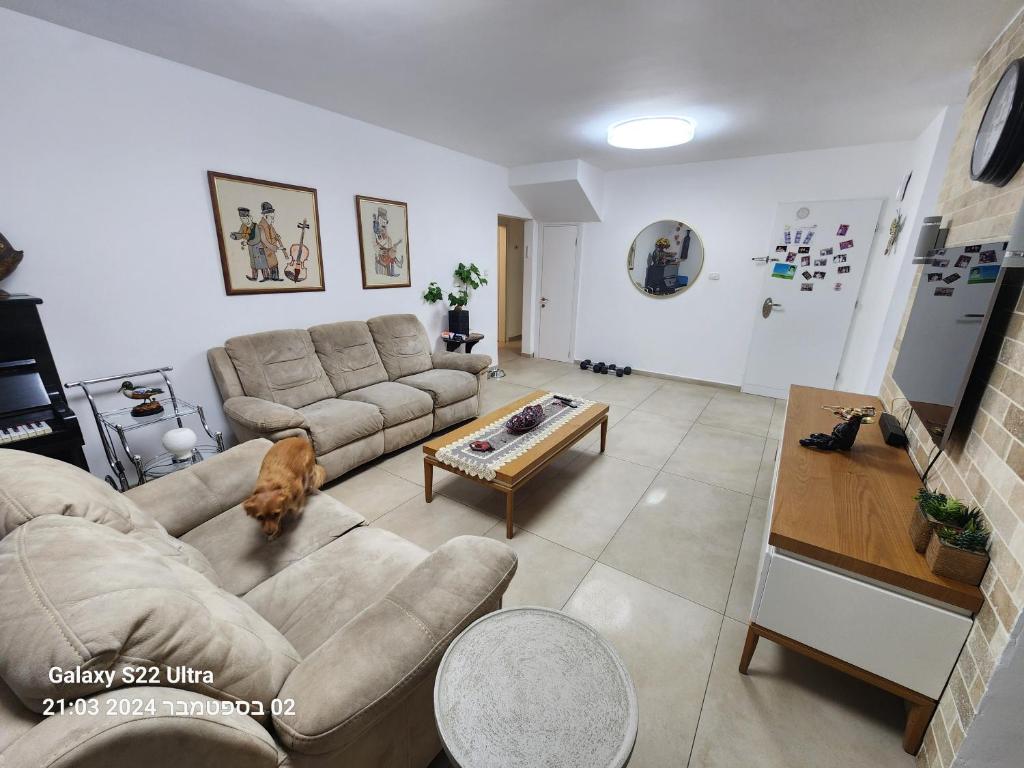 ein Wohnzimmer mit einem Hund, der auf einer Couch liegt in der Unterkunft דירה לאירוח בכרמיאל מלון in Karmi’el