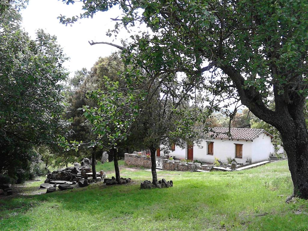 Zahrada ubytování B&B I Menhir