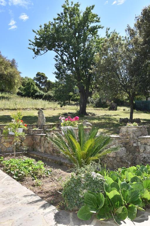Zahrada ubytování B&B I Menhir