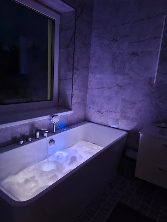 Ένα μπάνιο στο Sõbra SPA Villa Haapsalu lähistel kaunis looduses