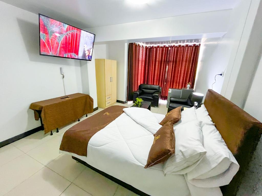 万卡约Hotel Orlak的一间卧室，墙上有一张床和一台电视