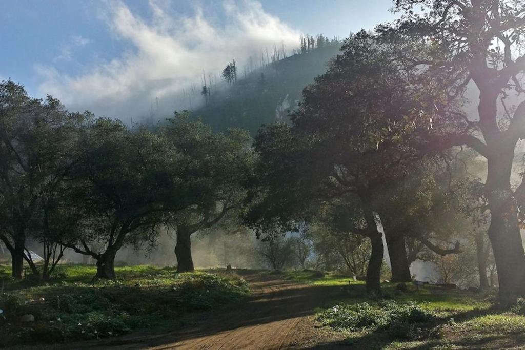 Φυσικό τοπίο κοντά σε αυτή η παραθεριστική κατοικία
