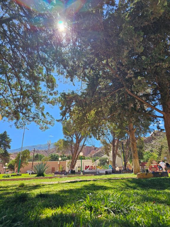 Κήπος έξω από το Pelito