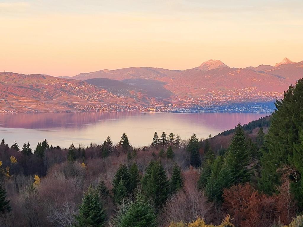 Blick auf einen See mit Bergen im Hintergrund in der Unterkunft Le Panoramic in Thollon
