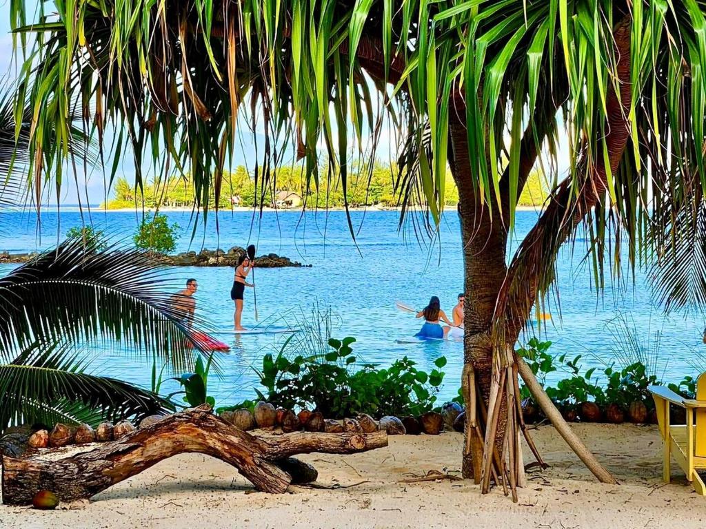 eine Gruppe von Menschen im Wasser an einem Strand in der Unterkunft Marū Beach House in Afareaitu