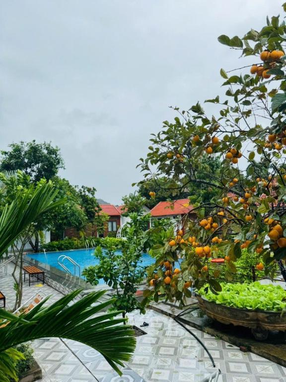 Phòng ngủ Tập thể 8 Giường cho cả Nam và Nữ