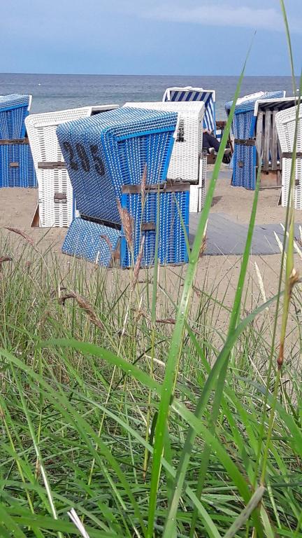 Fotografie z fotogalerie ubytování Ferienwohnung Eichhörnchen v destinaci Eckernförde