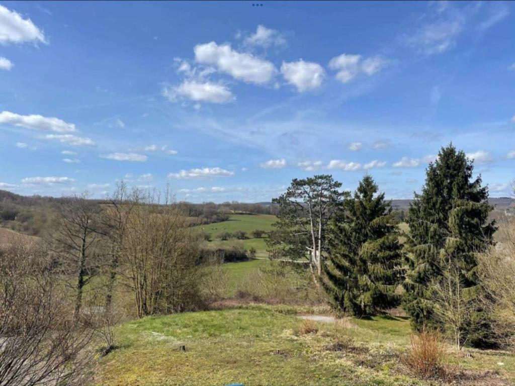 una vista desde la cima de una colina con árboles en Enjoy Durbuy 3, en Durbuy