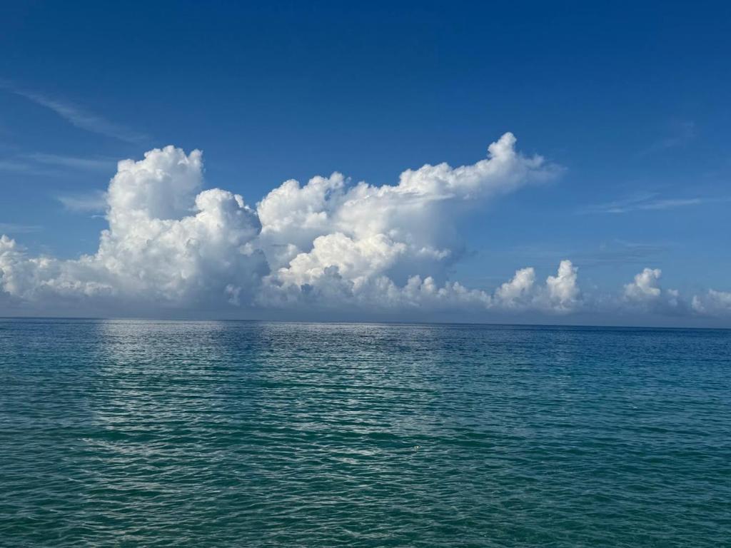 Φυσικό τοπίο κοντά σε αυτή η βίλα