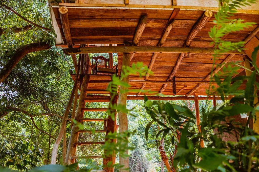 Zahrada ubytování Sigiriya River Side Villa
