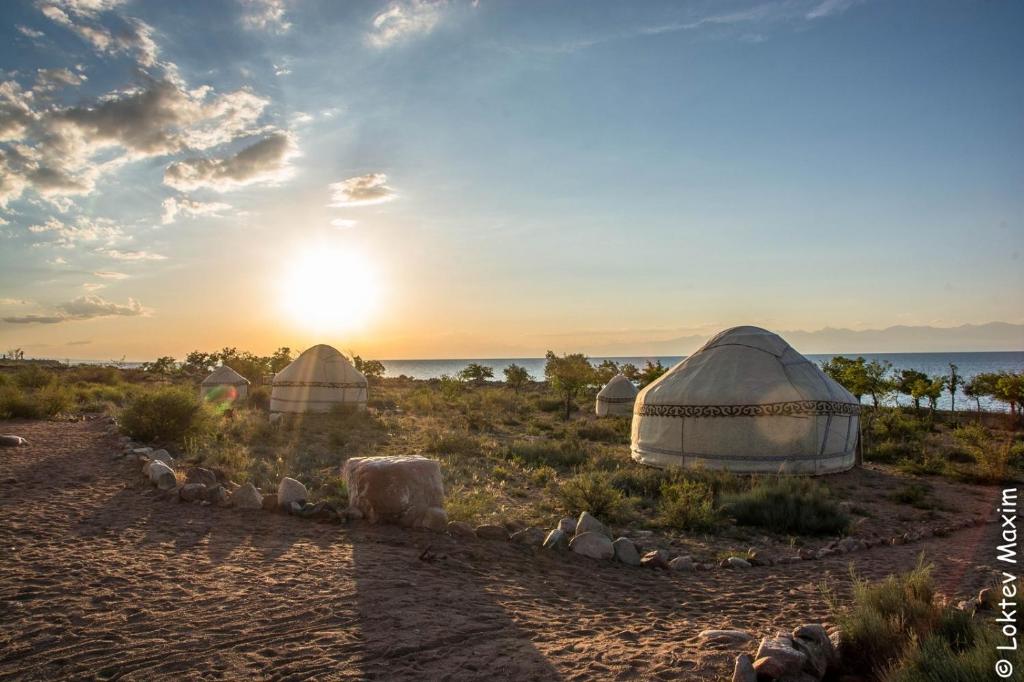 Příroda nedaleko kempu