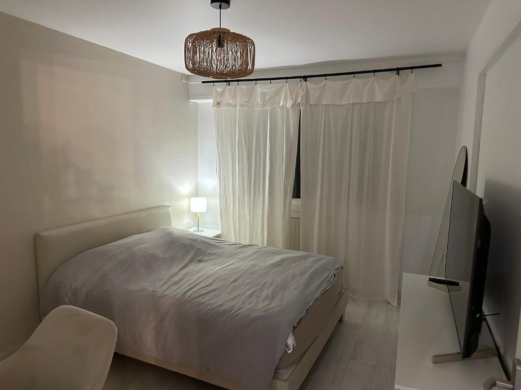 Apartment - Colmar Center - La Roseraie – photo 15