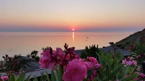a sunset over the ocean with pink flowers in the foreground at Atlantis in Crotone
