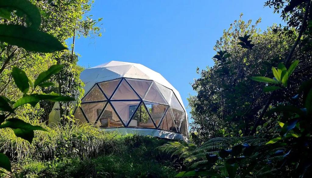a glass dome house in the middle of a forest at The Geodesic Dome in Pohara Golden Bay in Pohara
