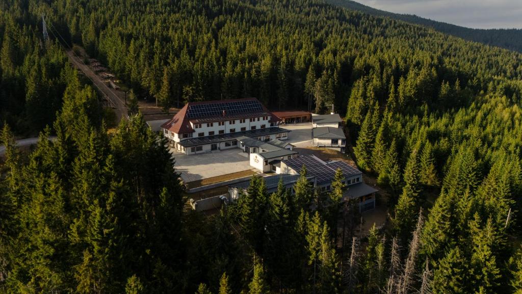 an aerial view of a building in the middle of a forest at OzonWellness in Harghita-Băi