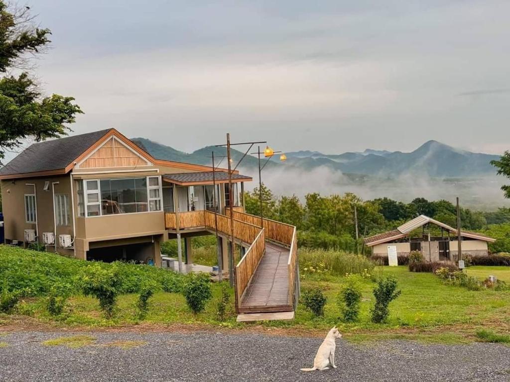 a house on a hill with a cat sitting in front of it at Jacuzzi mine hills in Ban Mai