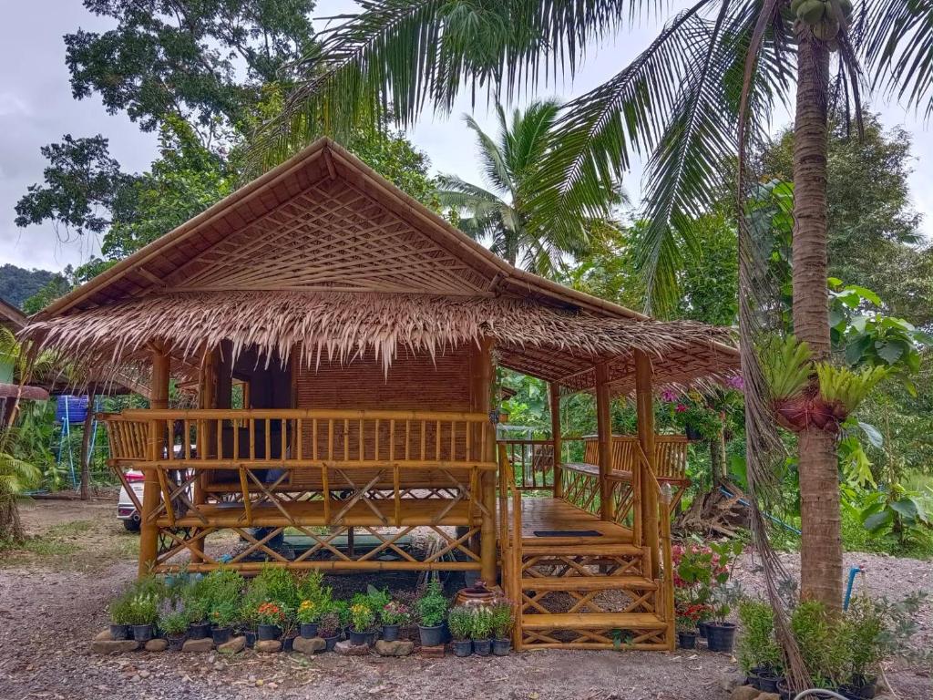a small hut with a thatched roof and a palm tree at Paivana Khaosok Village in Khao Sok