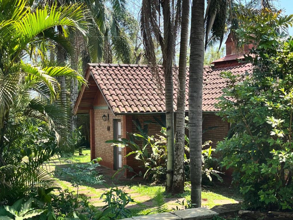 a small house with palm trees in front of it at Hotel Cabañas Del Parque in Oberá