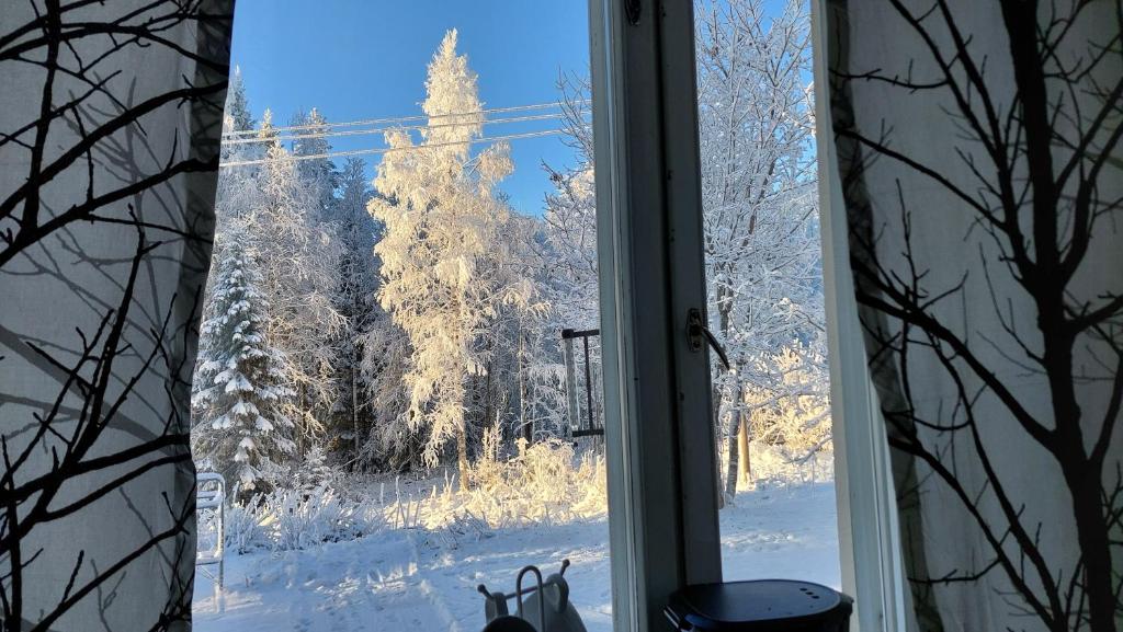 Το Arctic Landhaus τον χειμώνα