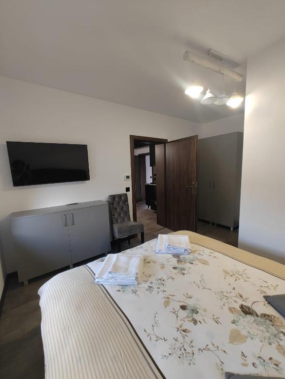 a bedroom with a large bed and a flat screen tv at Râului 43 in Ocna-Mureşului