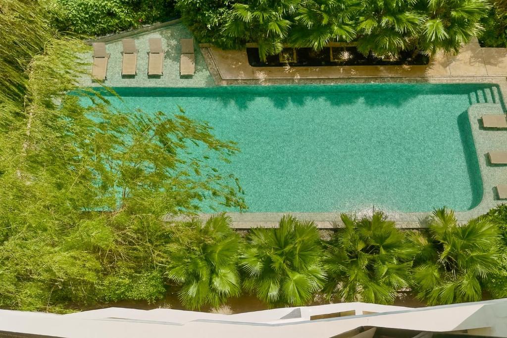 an overhead view of a swimming pool with palm trees at Rose & Golf at Rose Apple Square in Siem Reap