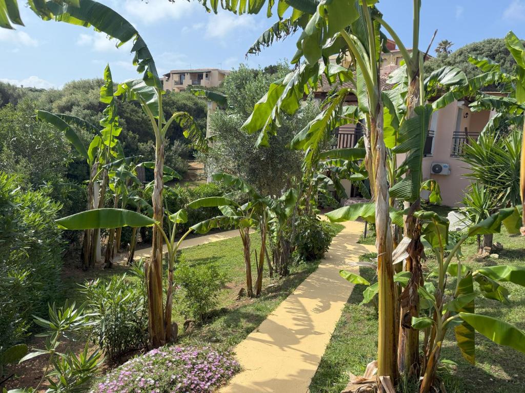 Κήπος έξω από το Villa I Banani