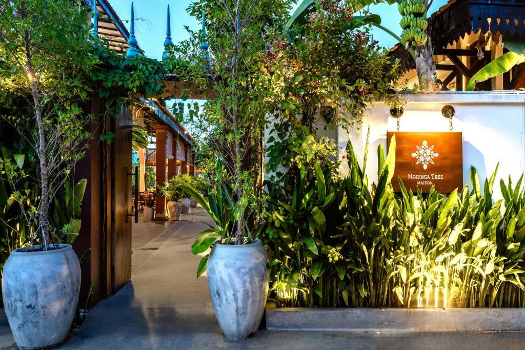 Zahrada ubytování Moringa Tree Maison
