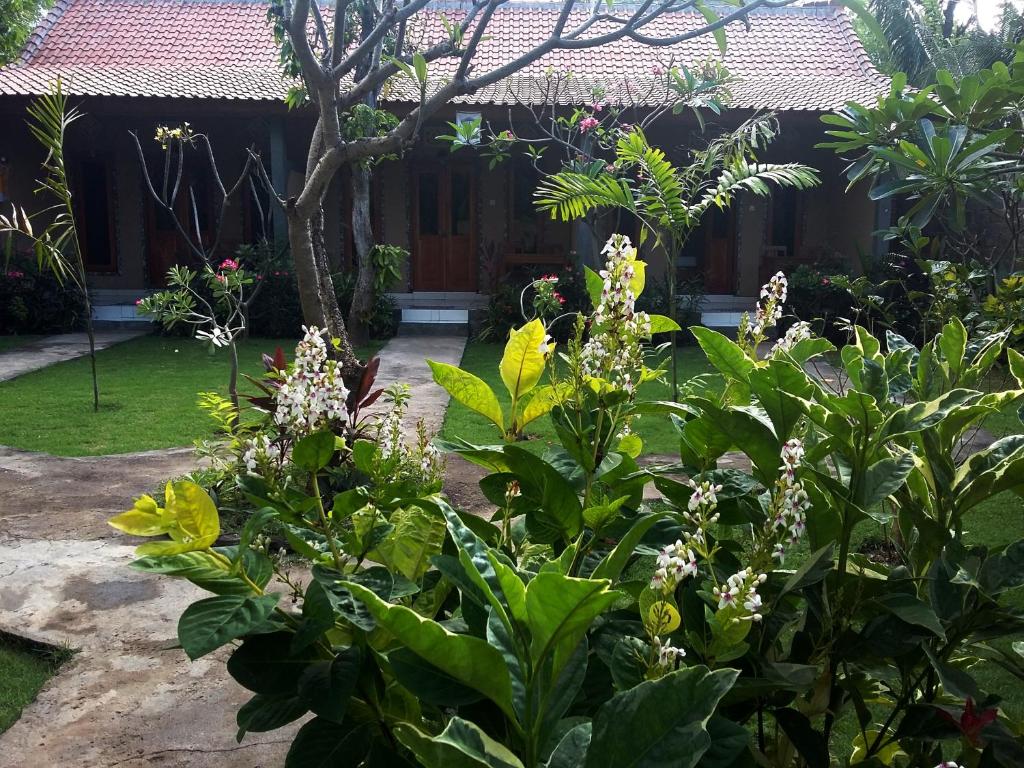 Zahrada ubytování Molleh Guest House