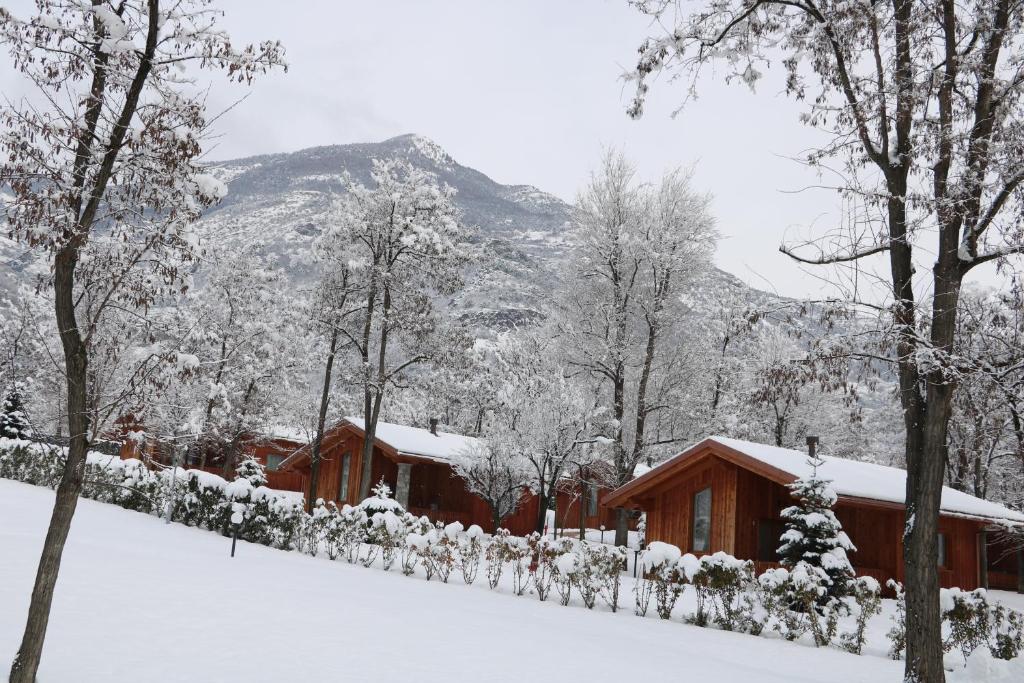 Lazy Bee Camping Village - 18