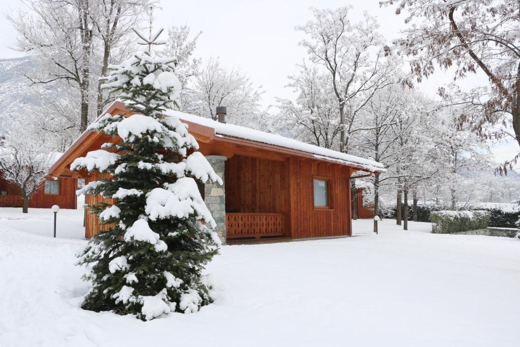 Lazy Bee Camping Village - 19